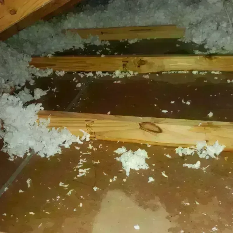 Attic Water Damage in Marrero, LA