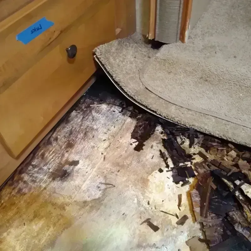 Wood Floor Water Damage in Marrero, LA